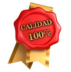 Diseño web profesional Calidad 100%